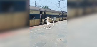 Это Индия, здесь свои законы