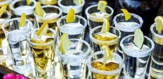 A Woman Who Drank 14 Shots of Tequila on a Cruise Wins $250,000 in Court for Excessive Service (2 photos + 1 video)