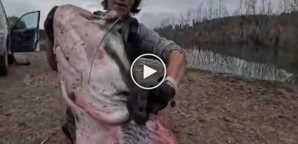 Bulgarian fishermen managed to catch a 120-kilogram catfish