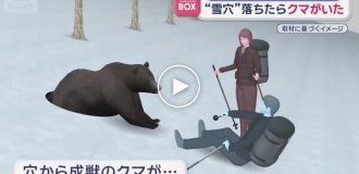 Японец провалился в берлогу к медведю и выжил