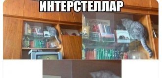 Подборка забавных твитов обо всем. Выпуск 780 (48 картинок)