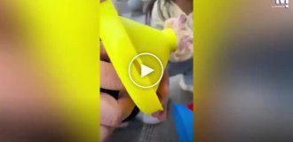 Хомяк застрял в игрушке