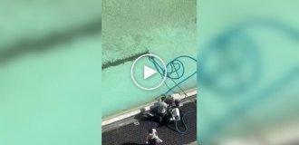 В итальянском фонтане Треви туристы ежегодно бросают в воду около 1,5 миллионов евро мелочью