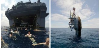 22 фотографии, доказывающих, что боязнь воды — это вам не шуточки! (23 фото)