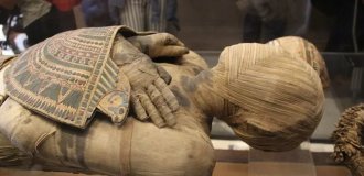 Scientists Study Mummies and Uncover the Real Cause Behind the 'Curse' Kept Silent for a Century (10 photos)