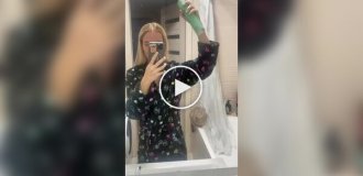 Почему кошки не любят «пшикающие» звуки