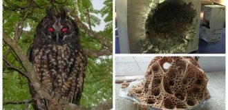 30 Impressive Photos from Around the World (31 photos)