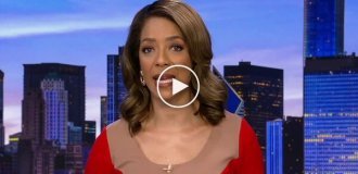 Женщина украла яйца из гнезда диких гусей