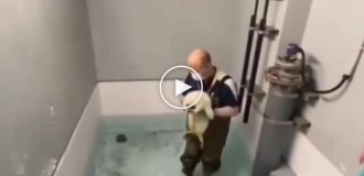 Детеныш тюленя впервые увидел воду