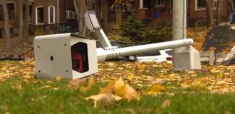 Власти Онтарио в Канаде отменили скоростемеры (2 фото)