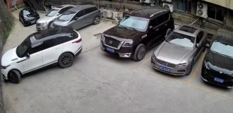 Долго целился и попал (3 фото + 1 видео)