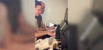 Животные (короткие видео). Выпуск 87