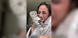 Кошкам тоже приходится несладко