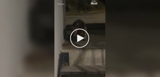 Woman scared by unknown animal
