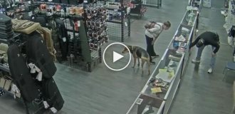 Бездомная попыталась похитить пистолет из оружейного магазина