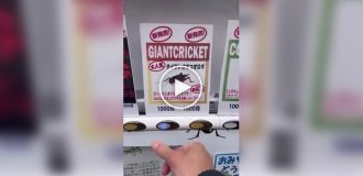 Vending machine with insects in Japan