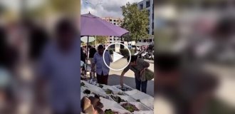 Воришки большие и маленькие