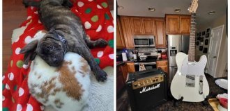 17 иллюзий в кадре, которые заставят усомниться в существующей реальности (19 фото)