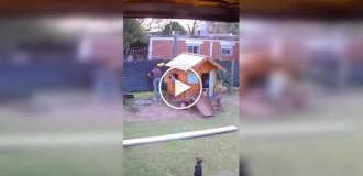 План был хорош, но исполнение подвело
