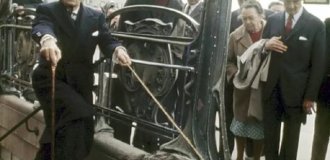 Эксцентричная прогулка: Сальвадор Дали на улицах Парижа с домашним муравьедом