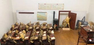 Найдивніший музей Європи, де представлені діорами з чучелами жаб (5 фото + 1 відео)
