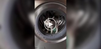 Помесь померанского шпица и хаски