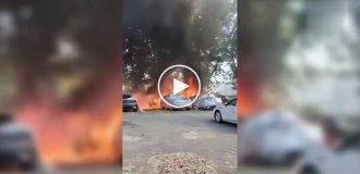 Боролся с тополиным пухом, а победил парковку с 20 автомобилями