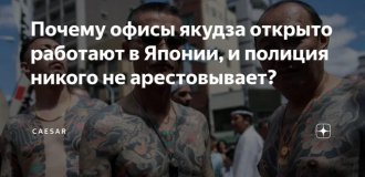 Сегодня  на территории Японии действует около восьмидесяти тысяч участников  преступных сообществ якудза — известных как борёкудан (13 фото)