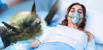 История Джины Гис, которой удалось выжить после заражения бешенством (14 фото)