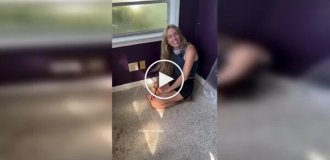 Солодка знахідка: під підлогою будинку виявили бджолине царство