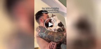 Девушки сняли на видео доказательства, что кошка запросто может увести мужчину