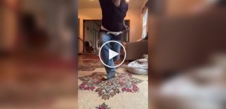 A cat didn't allow its owner to practice in peace