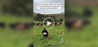 Перекличка на пастбище