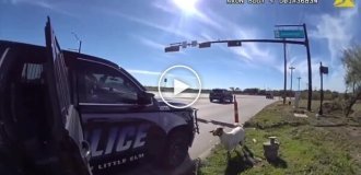 Полицейский «задержал» сбежавшего козла в Техасе