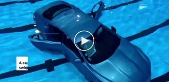 У Франції машина протаранила скляну стіну і впала в басейн