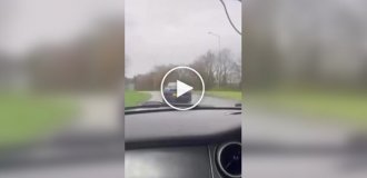 Похоже, кто-то впервые сел за руль Porsche