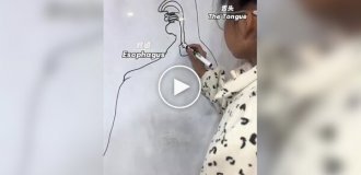 Школьница придумала необычный способ учить биологию