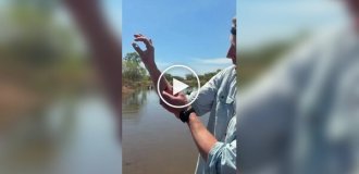 Телеведучий показав рани після укусу крокодила