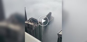 Beautiful and amazing (short videos). Release 62
