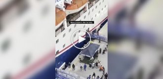 Во Флориде мать спасла четырехлетнюю дочь, упавшую между круизным лайнером и пирсом