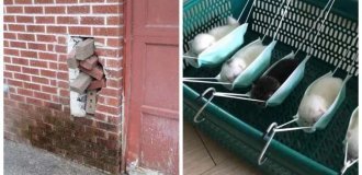 Я у мами інженер: 22 фото-приклади, коли зроблено кострубато, але функціонально (23 фото)