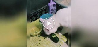 Кошка перешла на сбалансированное питание