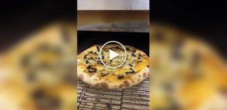 Pizza with ants in Brazil