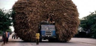 Transportation That Defies the Laws of Physics and Common Sense (15 photos)