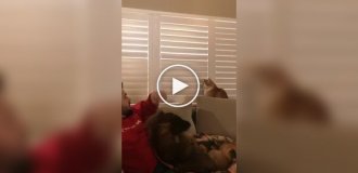 A wayward cat showed who's boss in the house