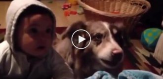 Пес ради лакомства выучил слово «мама» раньше ребенка