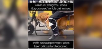 An elderly man used his pet to ride an electric bike