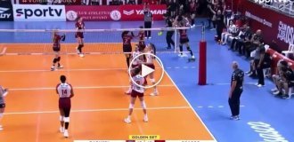Опоссум выбежал на волейбольную площадку