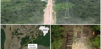 In Brazil, protected Amazon rainforests were cut down for the sake of holding a climate summit (4 photos)