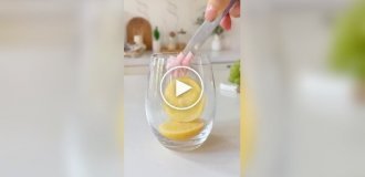 Забавная форма для льда